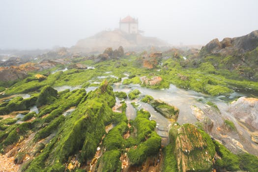 Capela do Senhor da Pedra, in the fog. Porto, Portugal.